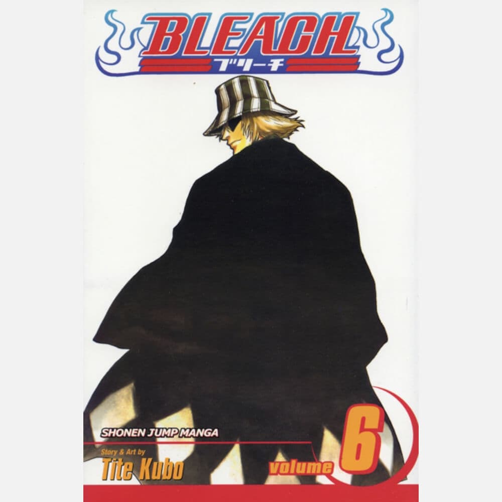 Bleach 6