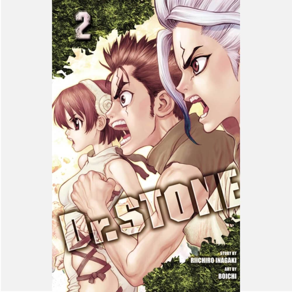 Dr. Stone Vol 2