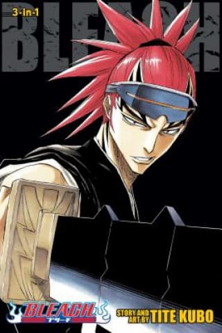Bleach (3-in-1), Vol. 4