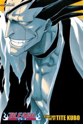 Bleach (3-in-1), Vol. 5