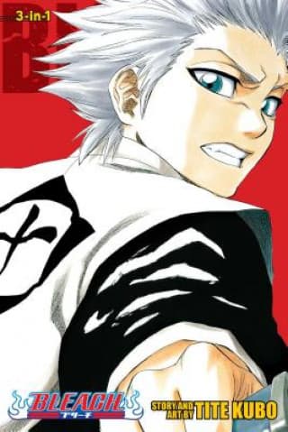 Bleach (3-in-1), Vol. 6