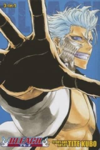Bleach (3-in-1), Vol. 8