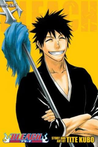 Bleach (3-in-1), Vol. 10