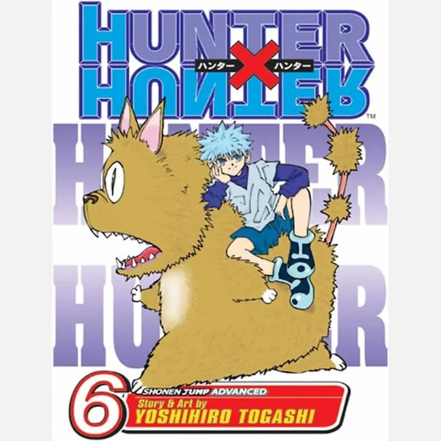 Hunter x Hunter, Vol. 6