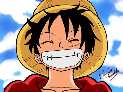Monkey.D.Luffy zaščitna škatlica za One Piece karte