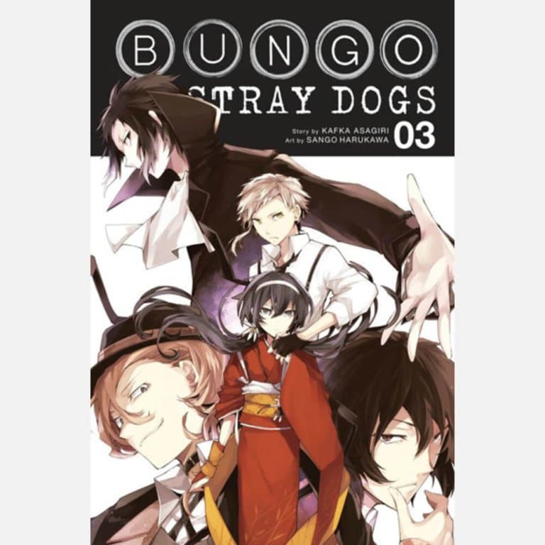 Bungo Stray Dogs, Vol. 3